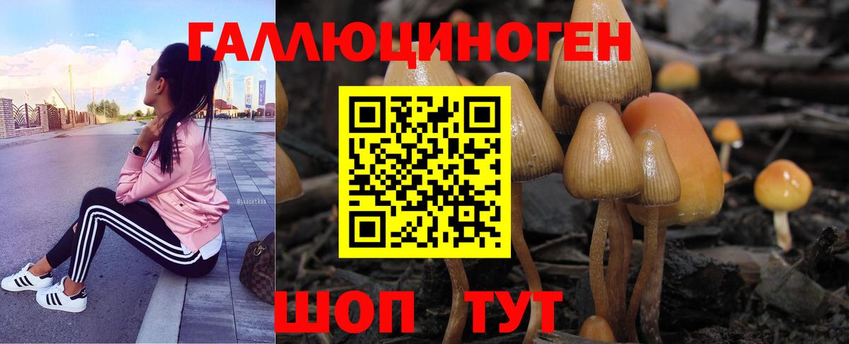 купить наркотики цена  Вход с VPN  Новочебоксарск  Псилоцибиновые грибы Cubensis 